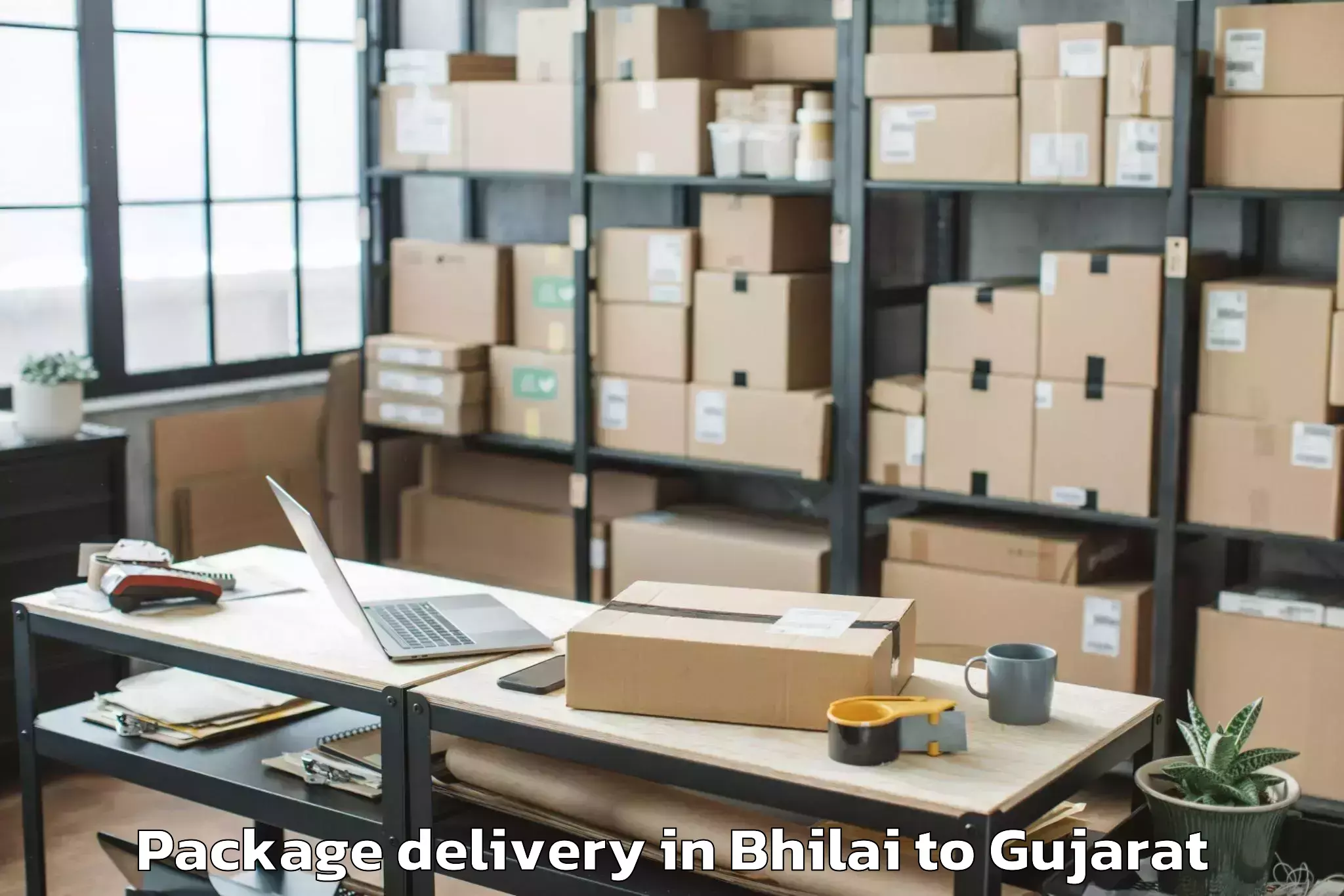 Book Your Bhilai to Junagarh Package Delivery Today